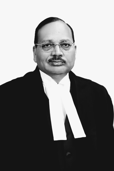 Portrait of Justice Surya Kant, Chief Justice of India